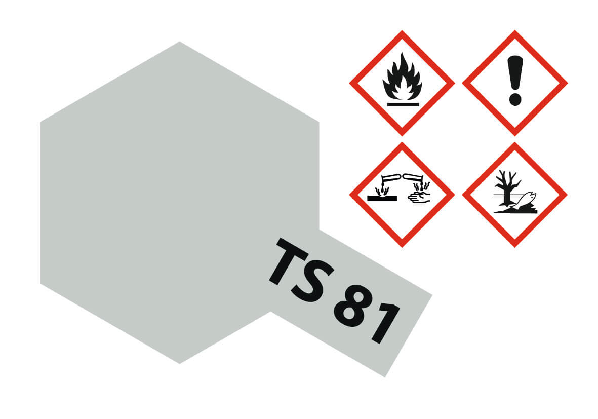1x farby w sprayu cyny 100ml, British Navy szara, matowa, TS 81
